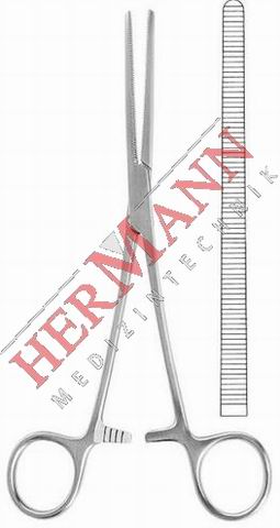 H112-31024